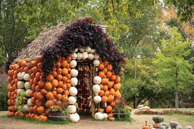 Cheekwood Harvest 2025