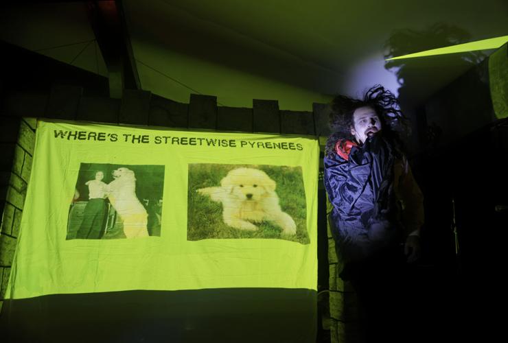 Terror Pigeon Vampire 12.jpg