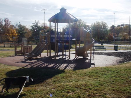 Seven Mile Creek, Wentworth Caldwell, and Willliam Whitfield Parks: A Review