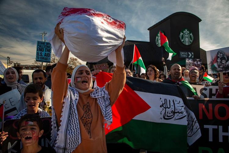 111123PalestineProtestNashville-16.png