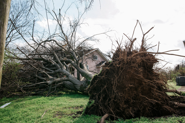 Slideshow: Looking Back at the March 3 Tornado