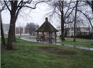 Tony Rose Park: A Review