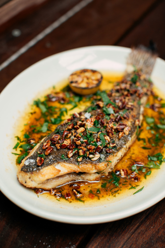 Good Vibes and Great Food Anchor The Optimist