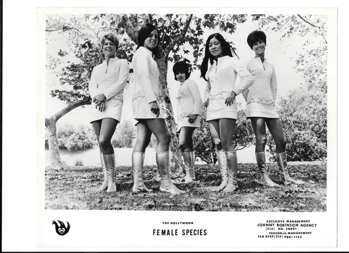 The Female Species Gets a Long-Overdue Day in the Sun