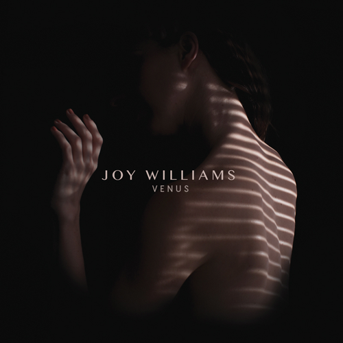Joy Williams opens up about going solo and getting over The Civil Wars