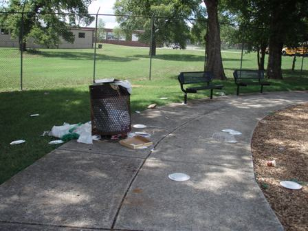 Tom Joy Park: A Review