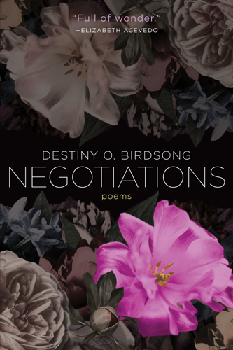 With <i>Negotiations</i>, Destiny O. Birdsong Offers Poems for Survival