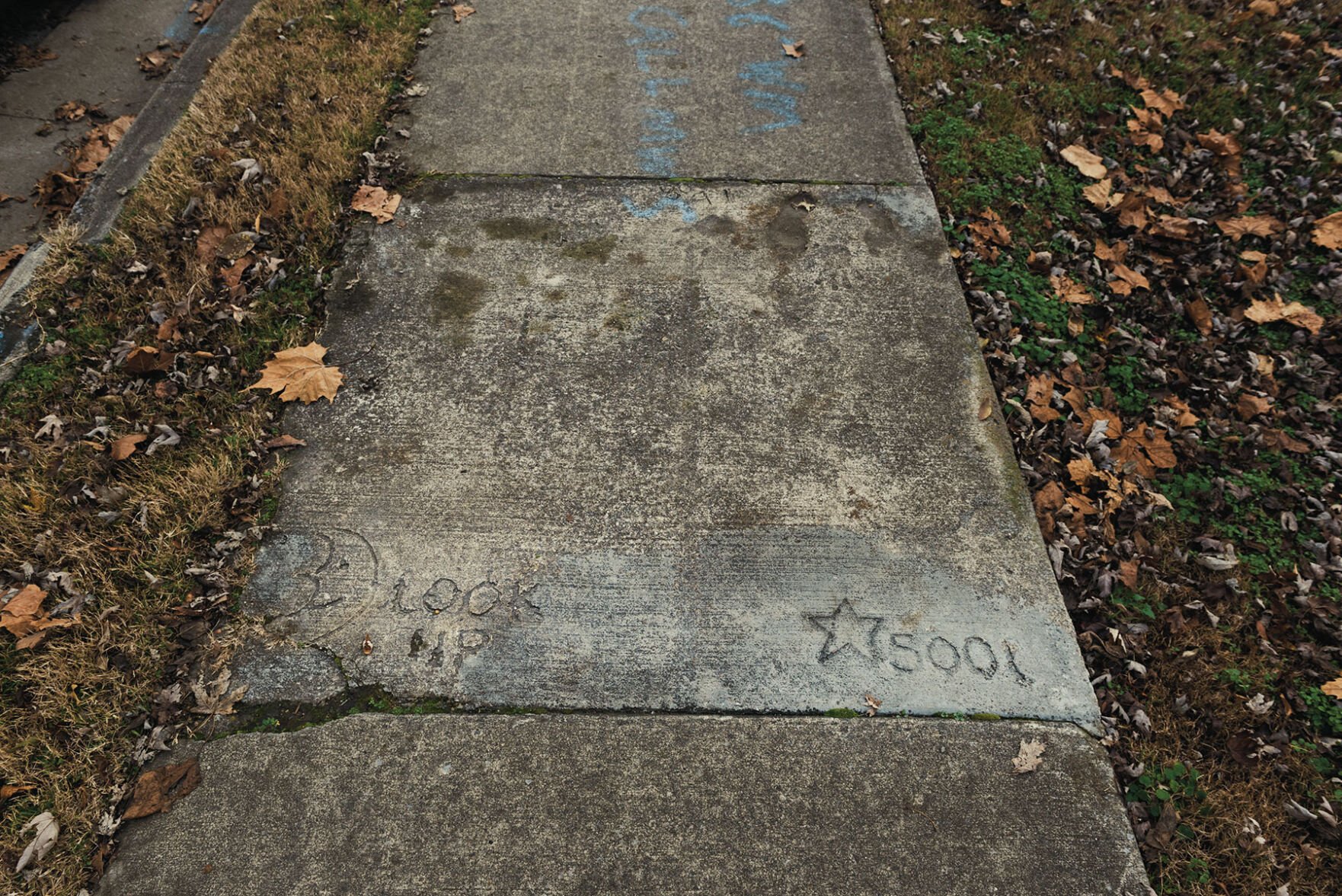 walkwJR-8611.jpg
