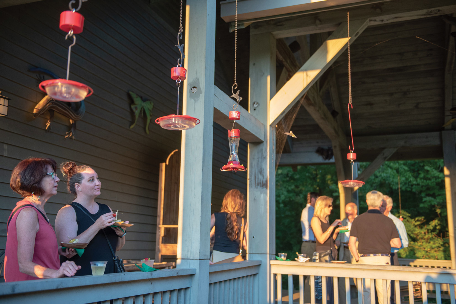 Best Event That's Literally for the Birds