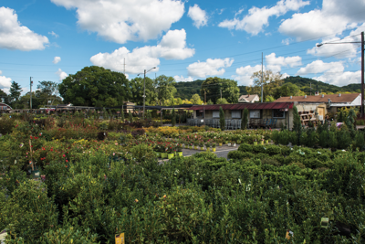 Best Nursery/Garden Center