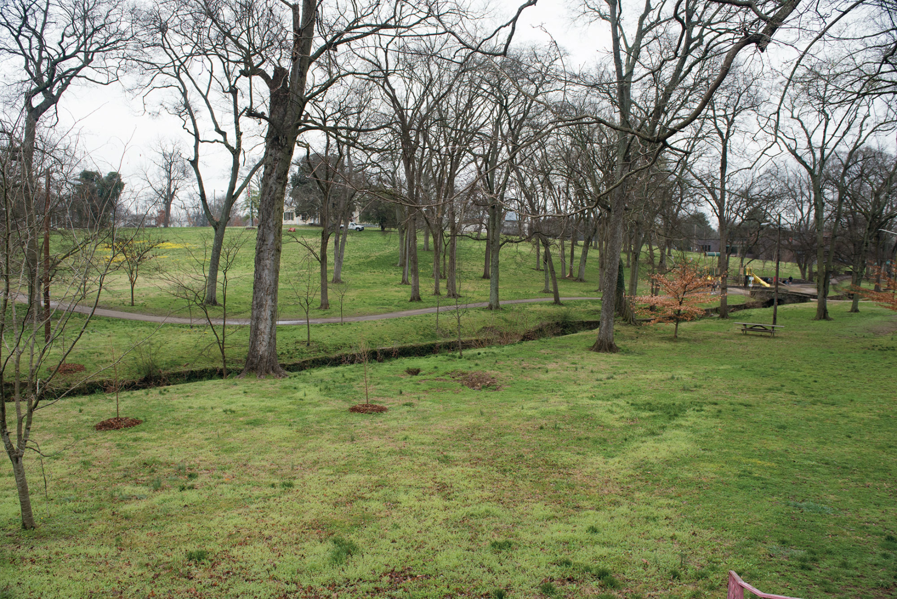 Walk a Mile: Granny White Pike