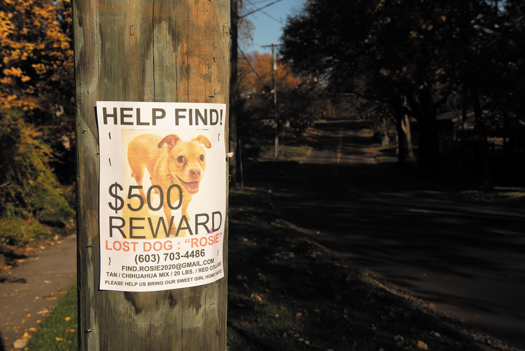 Walk a Mile: Richland-West End