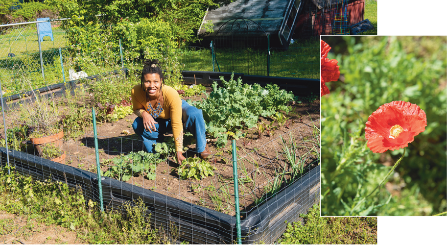 What Gardens Can Teach Us About Art and Survival During a Global Pandemic