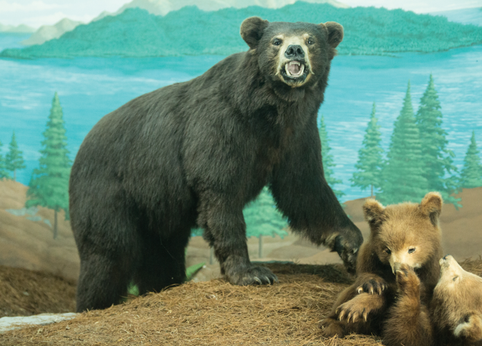 The Road Trip Issue: Louisville