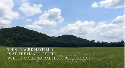 Protecting Whites Creek: It’s Already Wonderful. You Don’t Have to Lie About It.