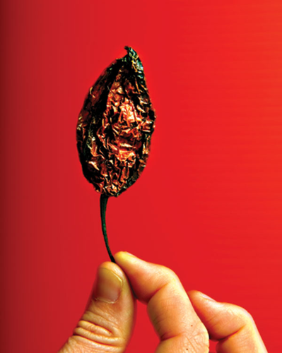 Food & Drink 2010: Writer's Picks