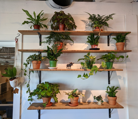 Today's Takeout Pick: The Loading Dock