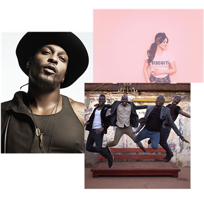 D'Angelo, Kacey Musgraves and Songhoy Blues Added to Bonnaroo Lineup