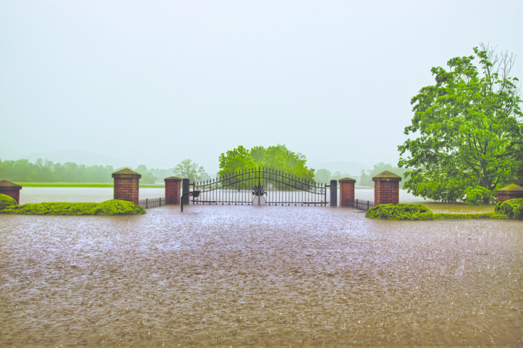 2010 Flood