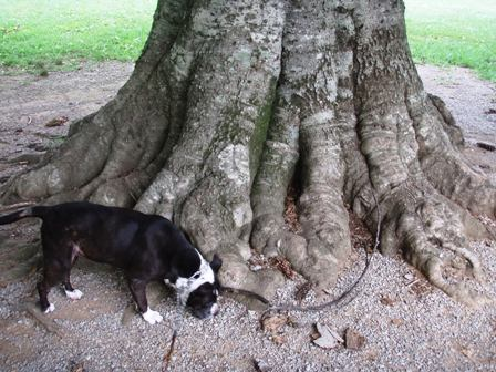 Granbery Park: A Review