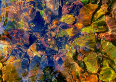 Richard Heinsohn: 'The Ghost We Live By'