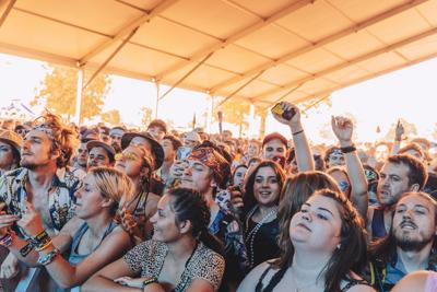 Bonnaroo crowd, 2019