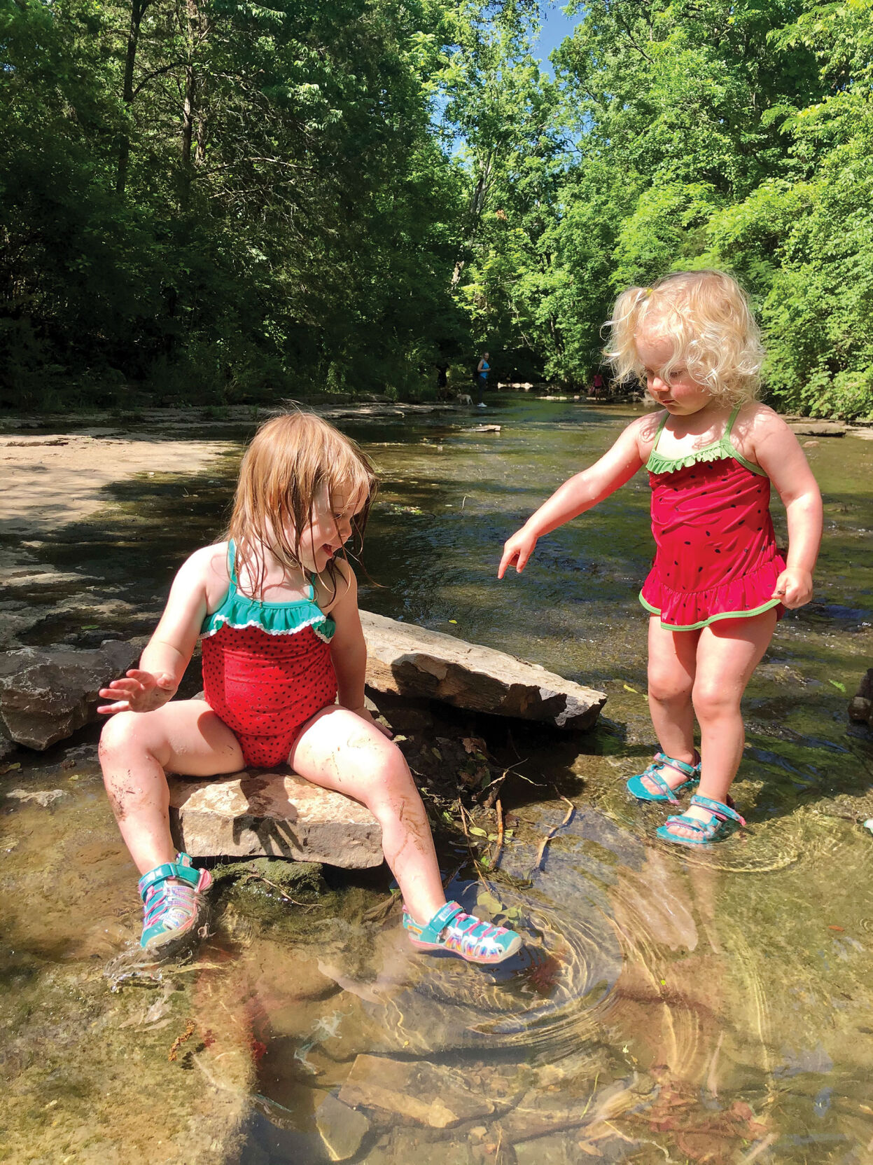 Ellington Agricultural Center