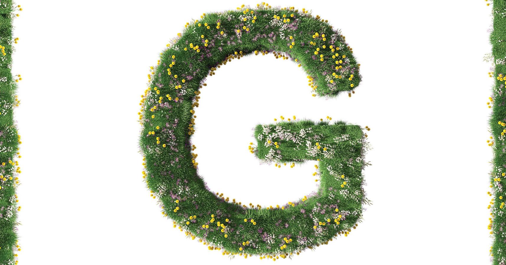 The Green Issue 2024 - Vimarsana News