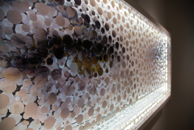 Winter Arts Preview: Seeing Is Believing