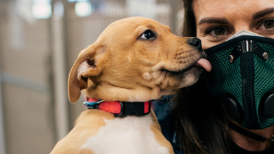 Best Place to Adopt a Pet