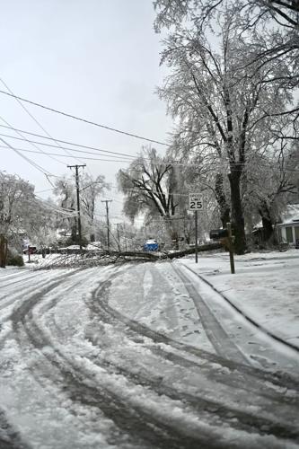 January 2026 Winter Storm