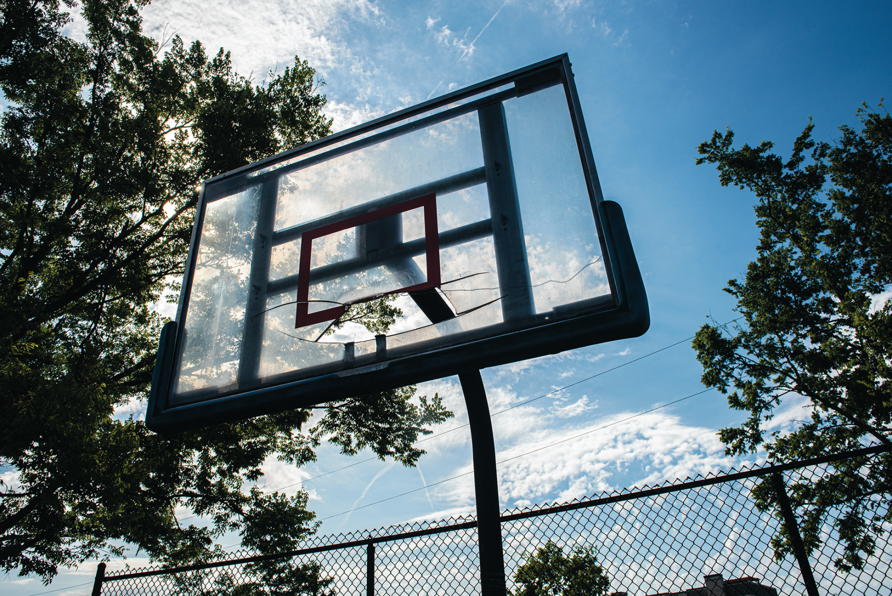 Walk a Mile: Hope Gardens and Buena Vista