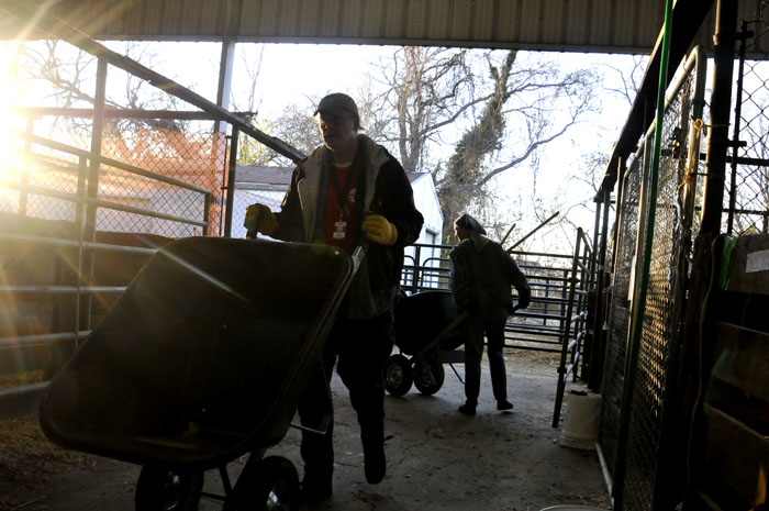 All the Starving Horses