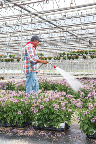 The Uncertain Fate of Migrant Workers and Their Families