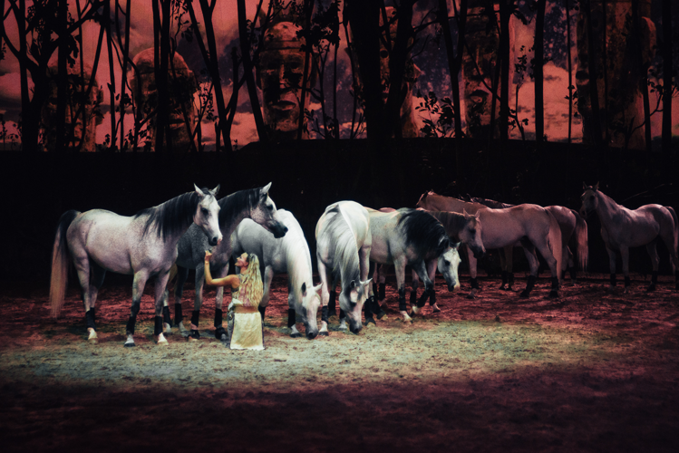 Here’s What to Expect at Cavalia’s <i>Odysseo</i> Horse Show