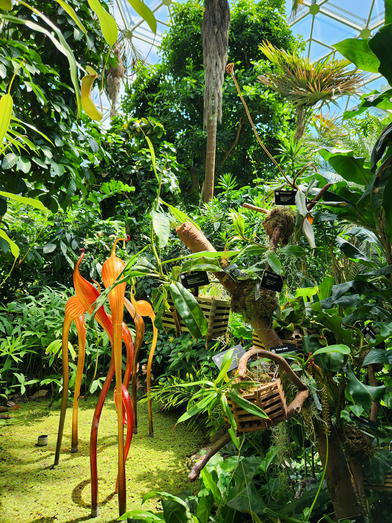 Missouri Botanical Garden