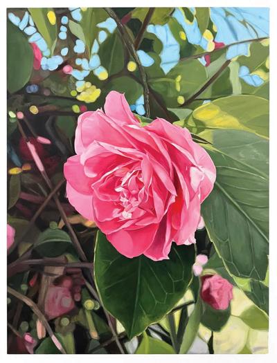 Inheritance-heirloom+camellia