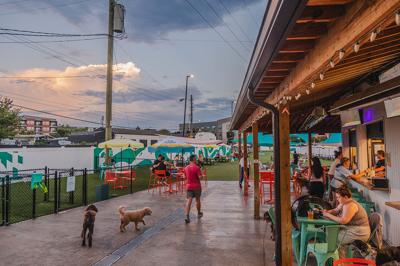 People and dogs wander the outdoor area of Urban Dog Park, winner of Best Dg Park and Best Dog-Friendly Restaurant.