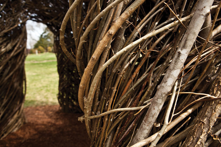 Cheekwood's new outdoor sculpture makes magic with sticks