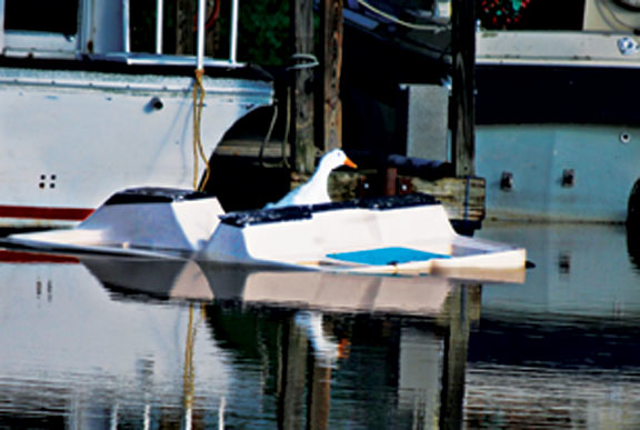 2010 Flood