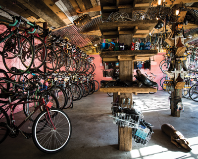 Best Bicycle Shop