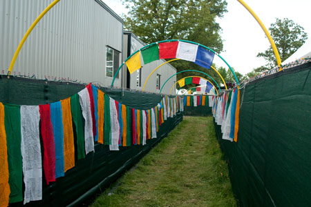 Scenes from Bonnaroo