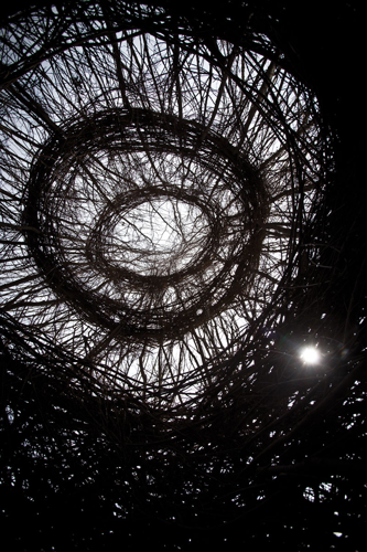 Cheekwood's new outdoor sculpture makes magic with sticks