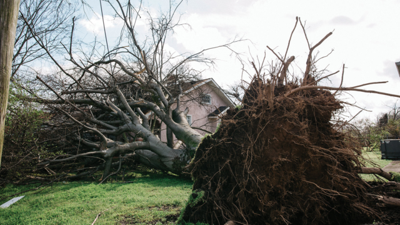 Not All of the Post-Tornado Efforts Have Been Benevolent