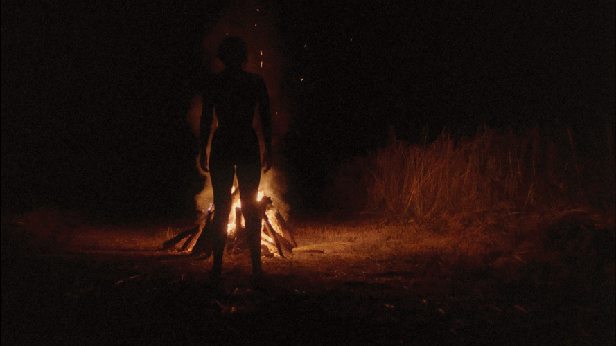 Unsettling Horror, Stylish Horror and Absurdist Humor, Now Available to Stream