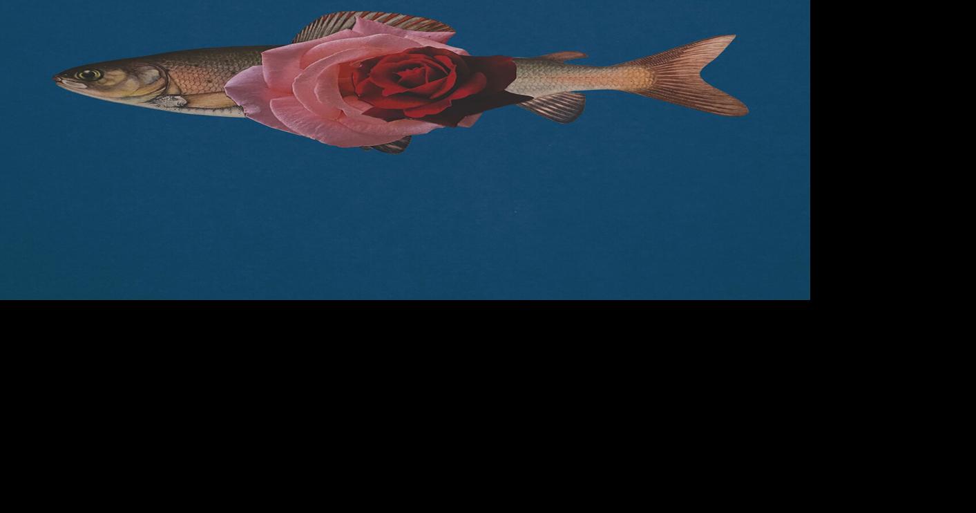 Robyn Hitchcock, 'Life After Infinity' Writerschoice