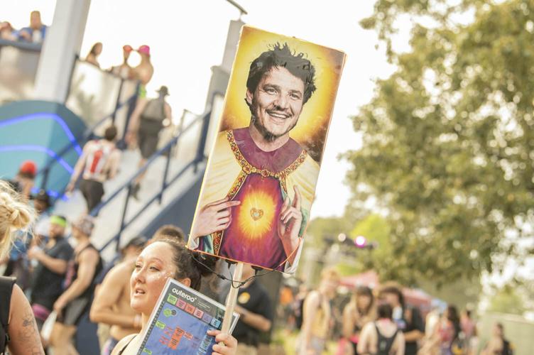 roo8.jpg