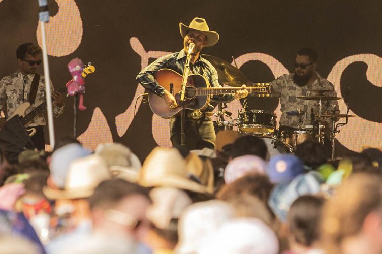 roo11.jpg