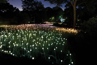 Best Wow Factor Excursion