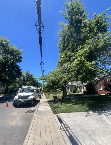 Crew clearing trees near 21st Avenue, May 14, 2026